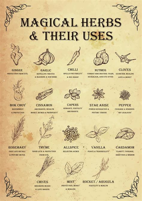 Unlocking the Secrets of Witch Herbs: Harnessing their Mystical Essence